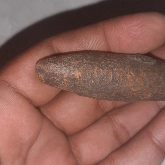 batu mustika fosil ikan purba warisan mbah