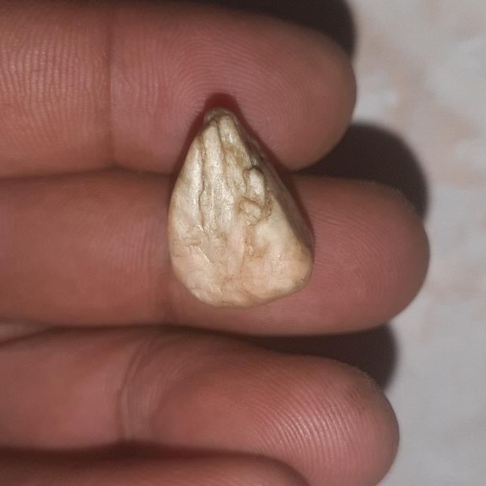batu mustika ikan tngiri