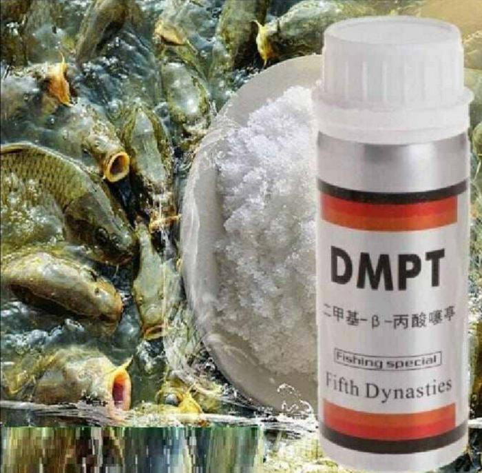 DMPT ori german Bvit