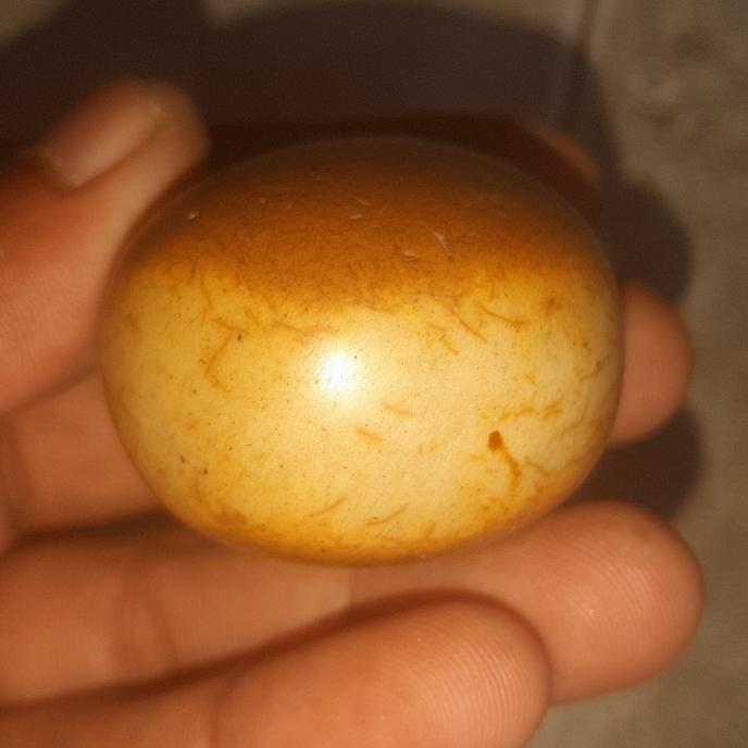 batu mustika raja belut putih