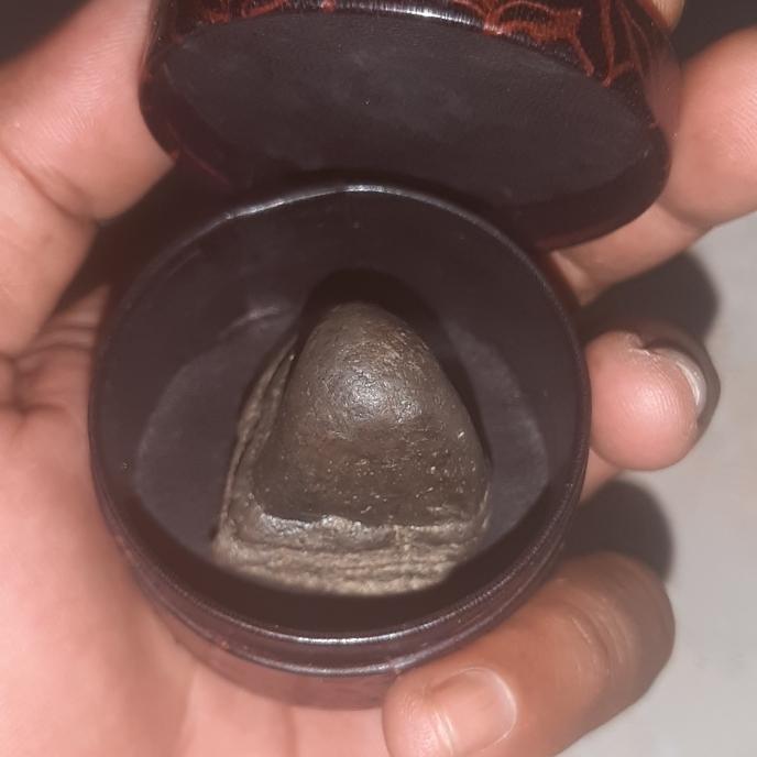batu mustika tanduk macan kumbang