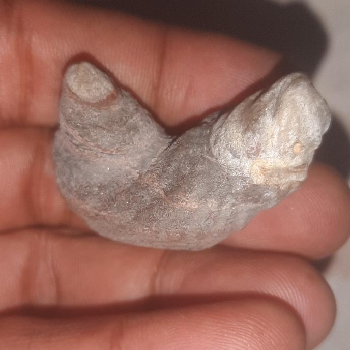 batu mustika yg sangat langka aneh