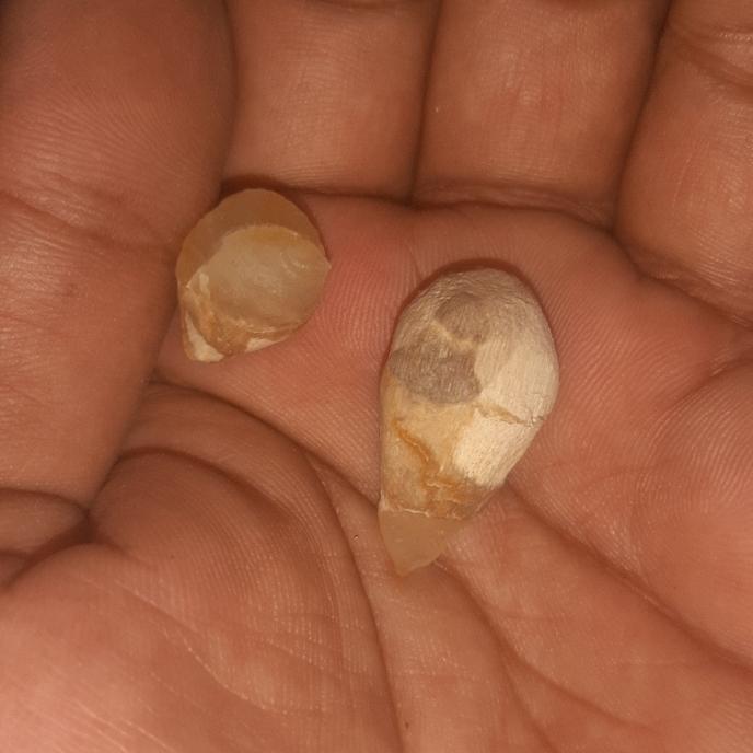 sepasang mustika batu kelor