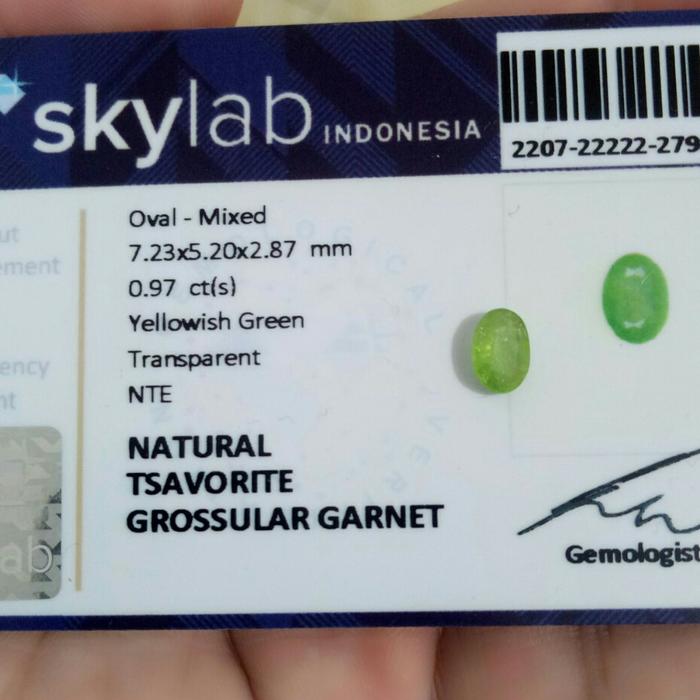 natural tsavorite sudah ada memo