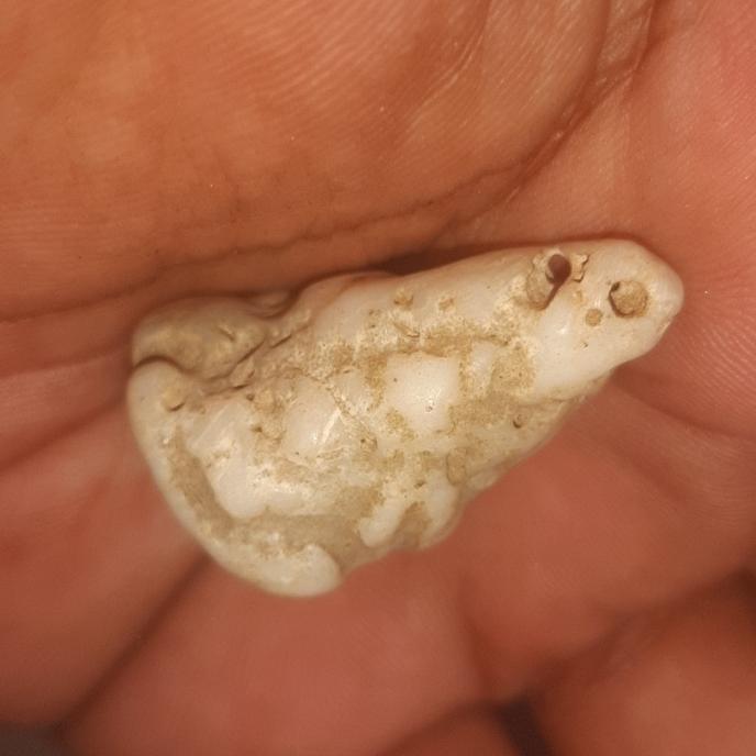 batu mustika keong antik combong