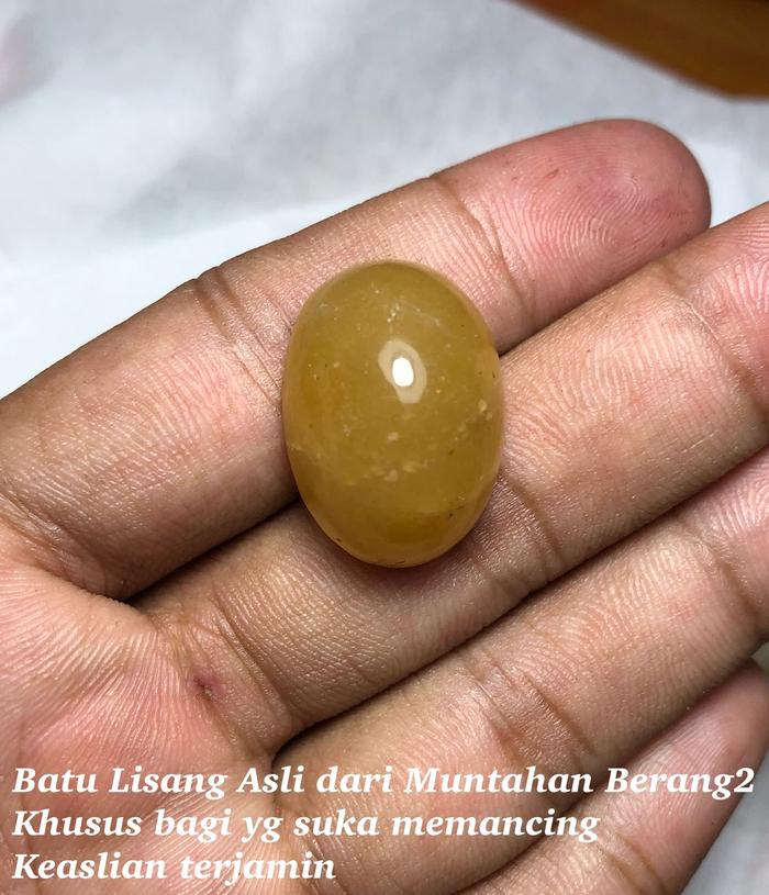 Cincin Batu Lisang Berang Berang Asli Untuk Pamancing