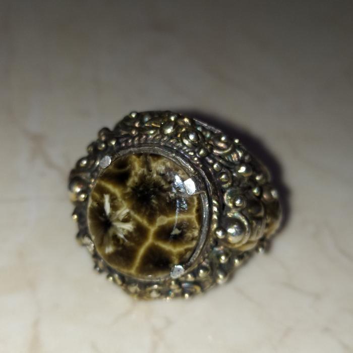 Bulu macan lumajang / basaltic / batu basaltic / basaltic tiger glass