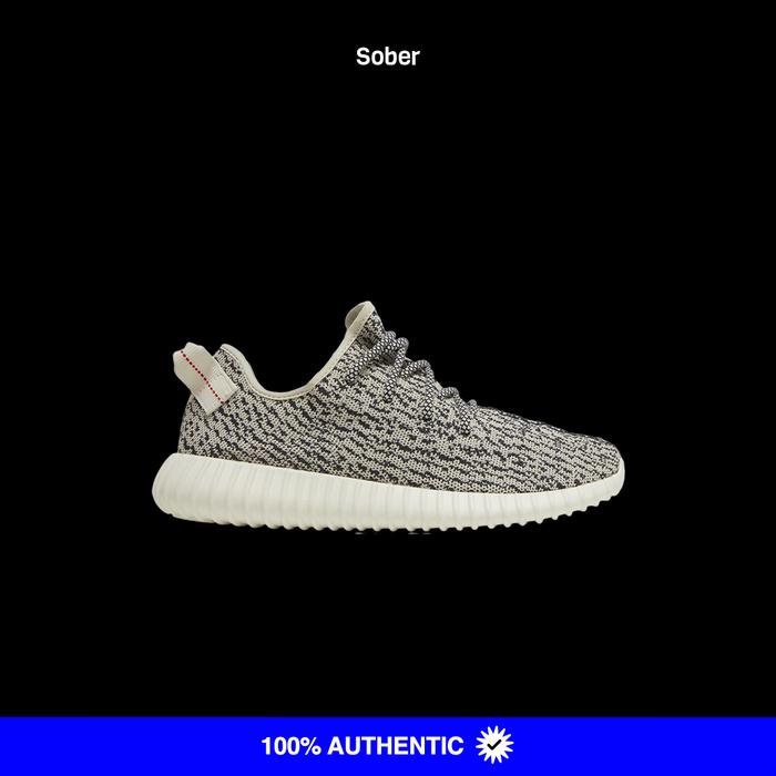 adidas Yeezy Boost 350 Turtle Dove (2022)