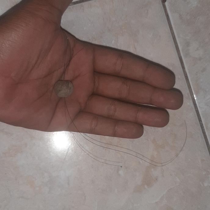 batu mustika combong serambut sangat antik kuno banget