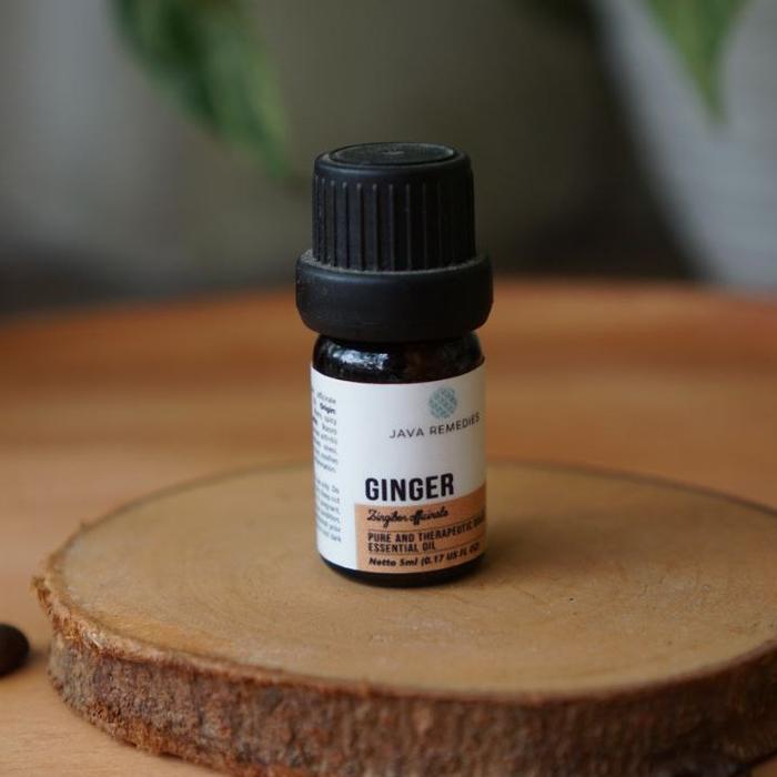 Essential Oil Ginger | Ginger Oil 5ml Aromatherapy