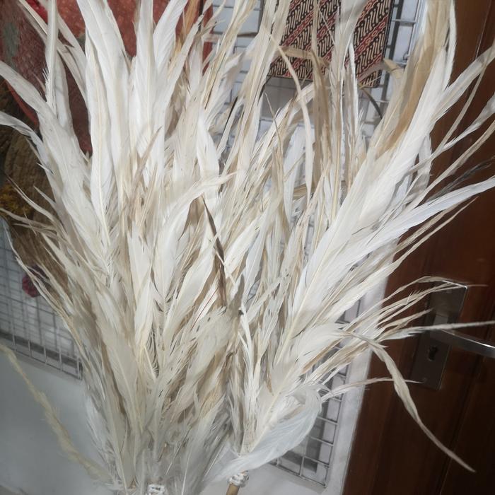 AKSESORIS BULU AYAM PUTIH EKOR JAGO KEMOCENG SULAK LANCUR