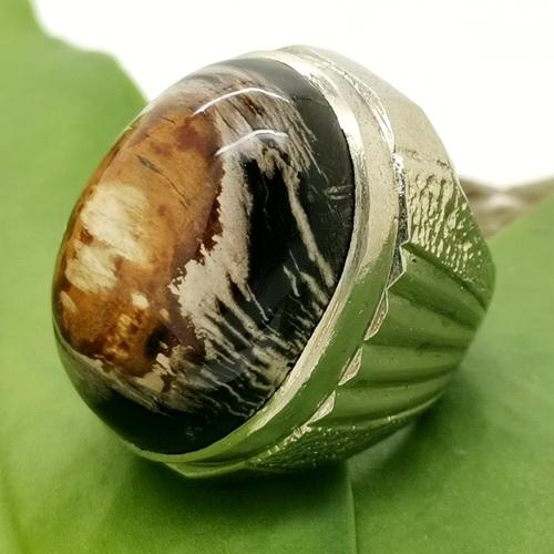 Batu Akik Asli Alam Mus tika Succubus Natural Ring Titanium