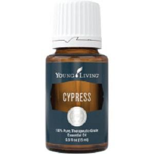 Cypress Oil 15 ml Essential Oil Cypress