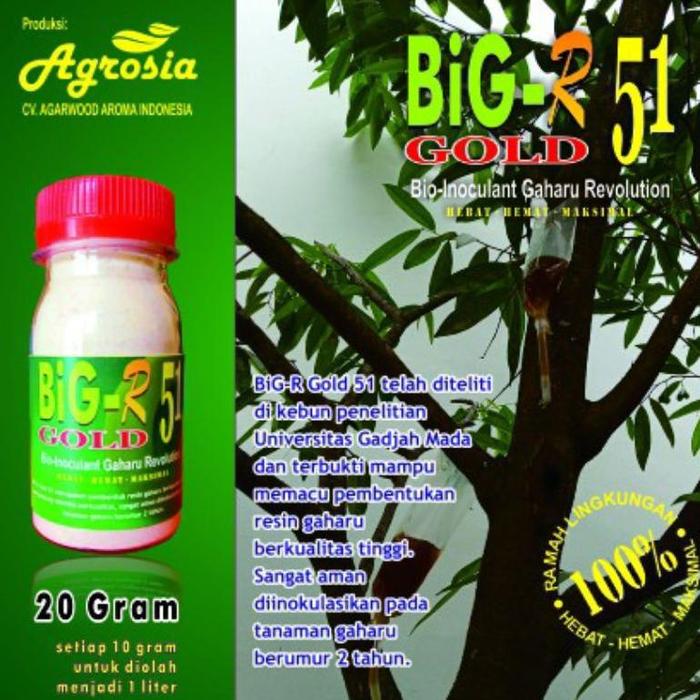 BIG-R Gold - Inokulan Gubal Gaharu Super