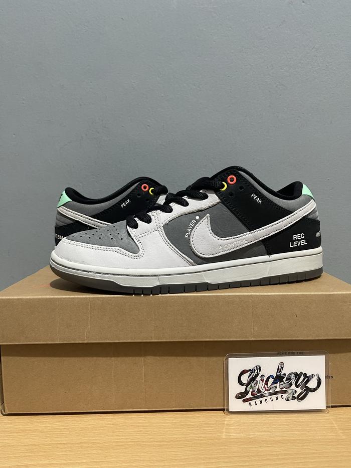 Nike SB Dunk Low VX1000 Camcorder ORIGINAL
