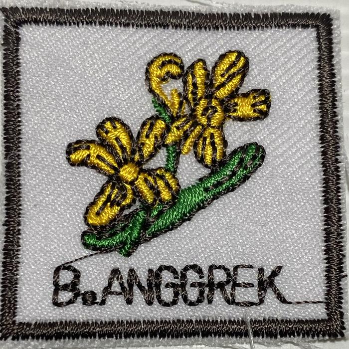 TANDA TEGU PRAMUKA PUTRI ( ANGGREK )