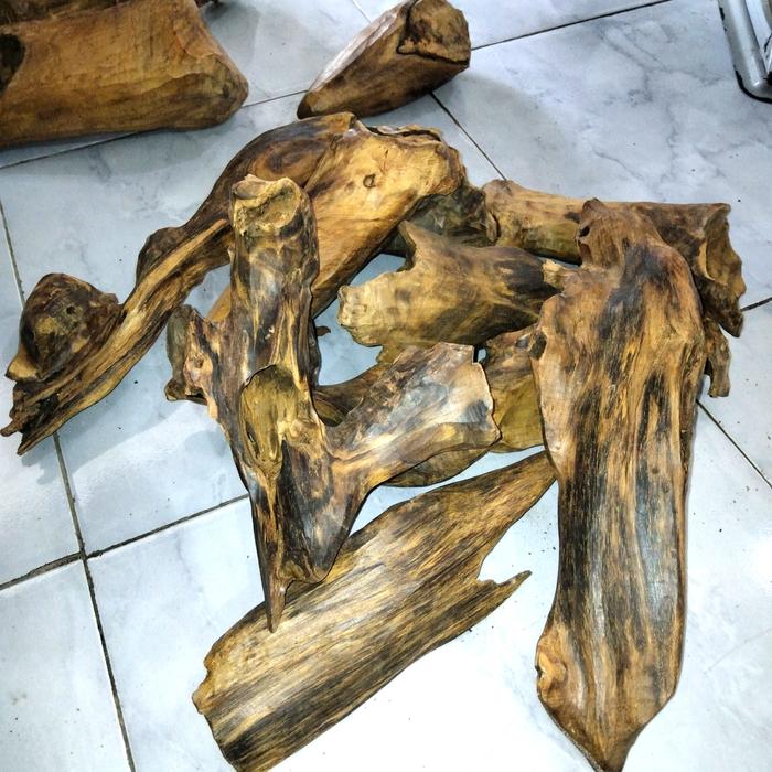 fosil kayu gaharu buaya super