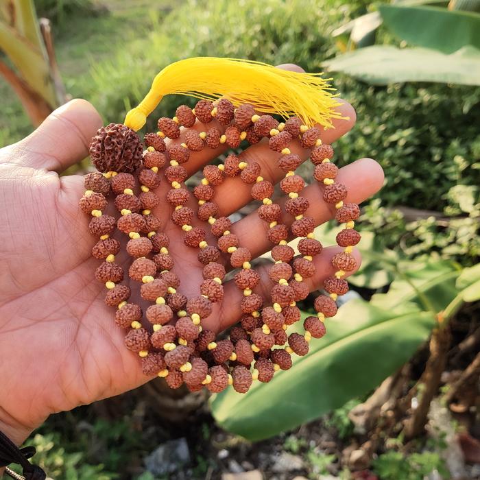 kalung jenitri rudraksha mukhi 5