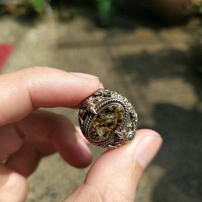 Bulu macan lumajang belang telon / basaltic / basaltic tiger glass