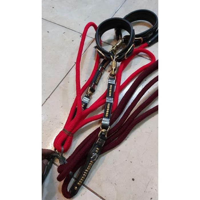 KALUNG KALA DAN TALI ANJING FULSET PETIK 2 ASLI KULIT TEBAL