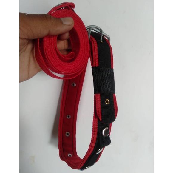 Kalung Anjing
