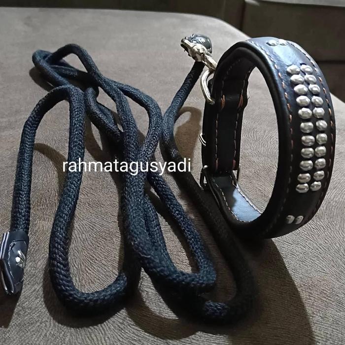 Kalung dan Tali Anjing Pemburu Asli Kulit Ukuran Medium