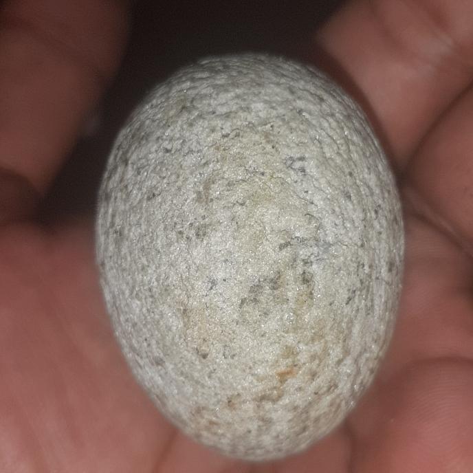 batu mustika telur yg sangat langka yg sperti ini sangat langka banget
