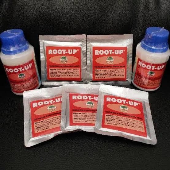 ROOT UP/ PEMANCING AKAR repack 10gram