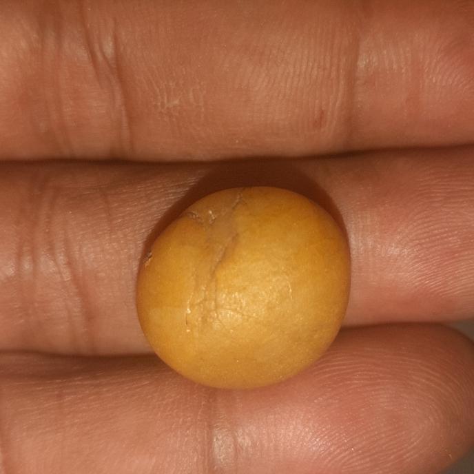 batu mustika ikan pari