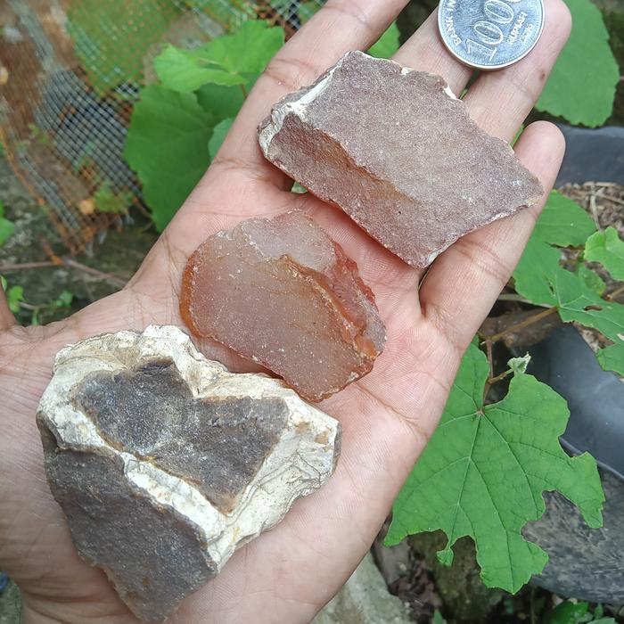 Paket Cempaka Aceh ( isi 3 Rough Batu Akik - bukan bacan obi )
