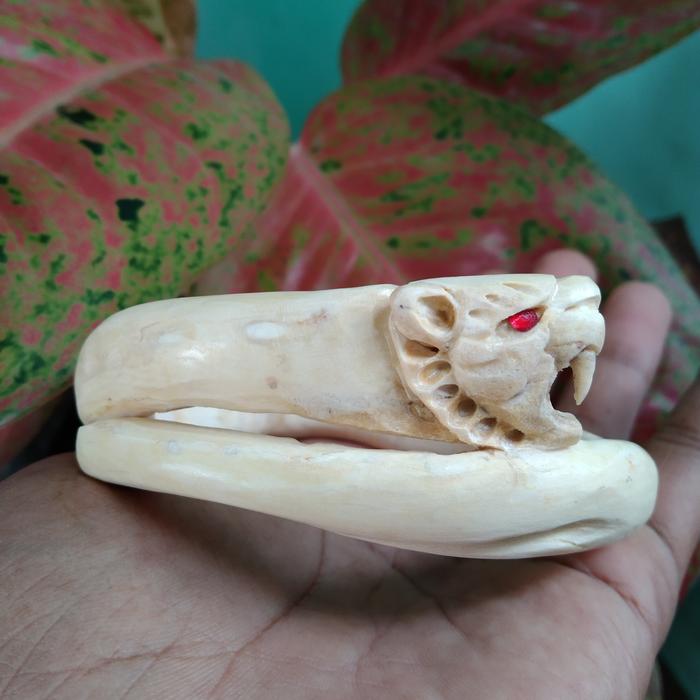gelang akar bahar putih ukir macan kumbang