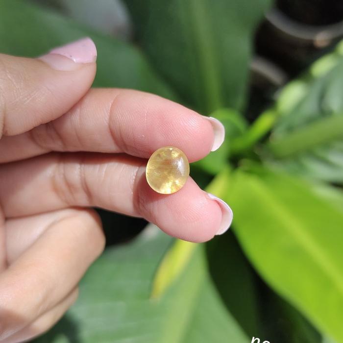 Batu Permata Mulia Natural Yakut Cutting Bawah (B )/ Yellow Sapphire Safir Super