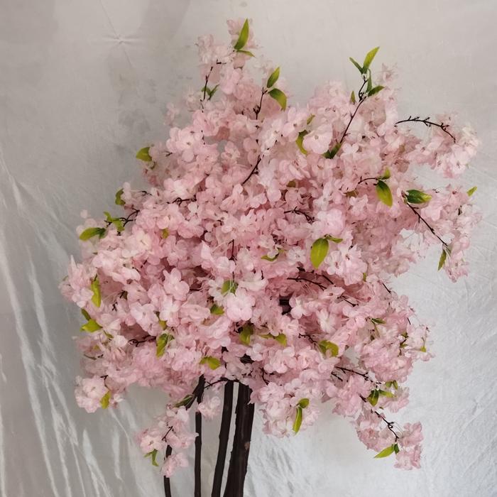 Pohon Sakura / Cherry Blossom