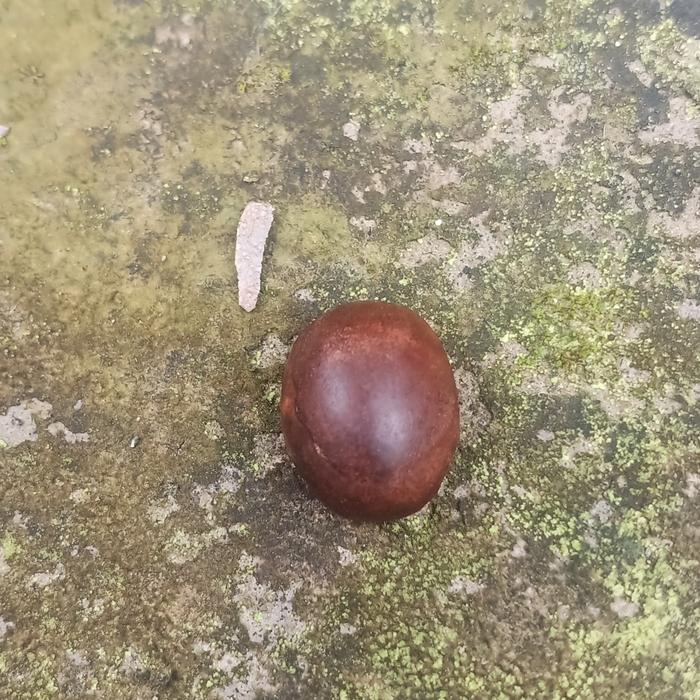 mata cincin kayu rindu menangis