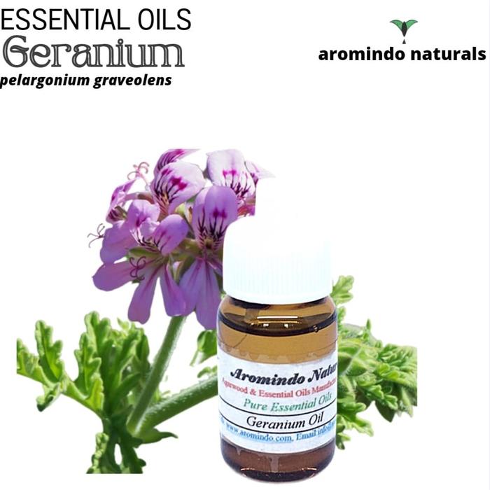 Geranium Oil