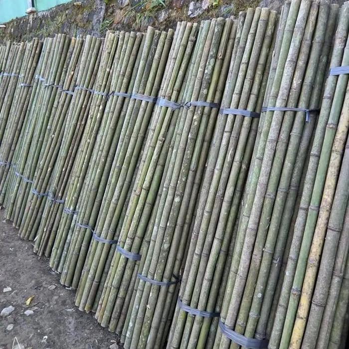 tongkat pramuka bambu 160cm tongkat bambu Pramuka SD SMP SMA