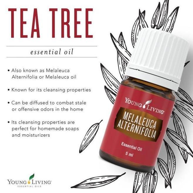 DISKON ! Young living tea tree essential oil 5ml tea tree 5ml FGRT453