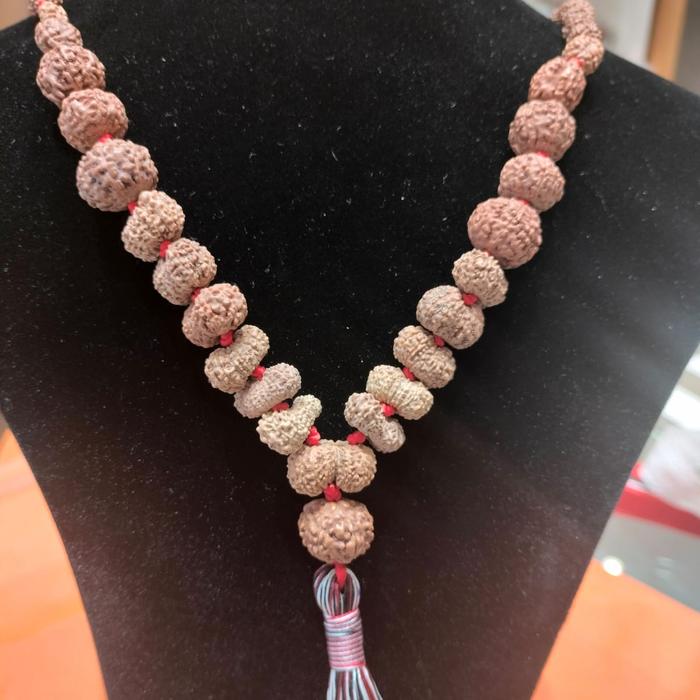 Indrakshi Mala 1_21Mukhi