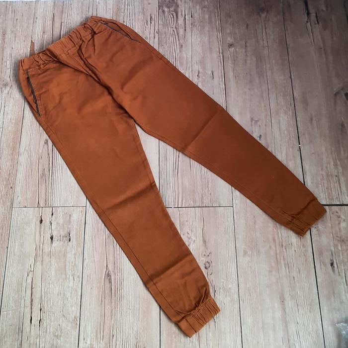 Celana Jogger Pria Wanita (Unisex) / DC Shoes / Original /Preloved