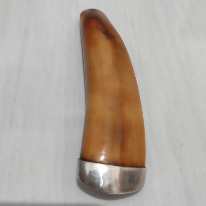 Taring Duyung Tarduy Warna Natural Alami Ring Perak Dengan Sarung Once