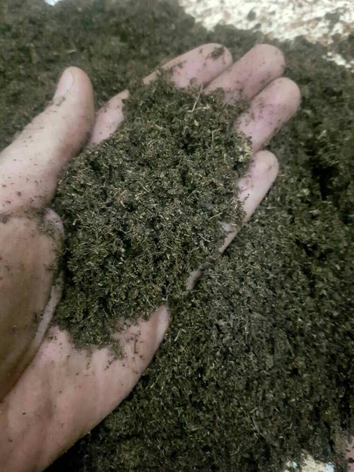 Sphagnum Peatmoss (Raw)