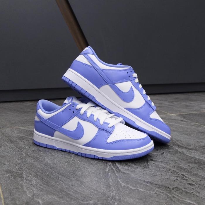 Dunk Low Polar Blue