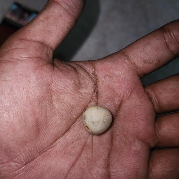 barang antik langka unik batu mstika ikan