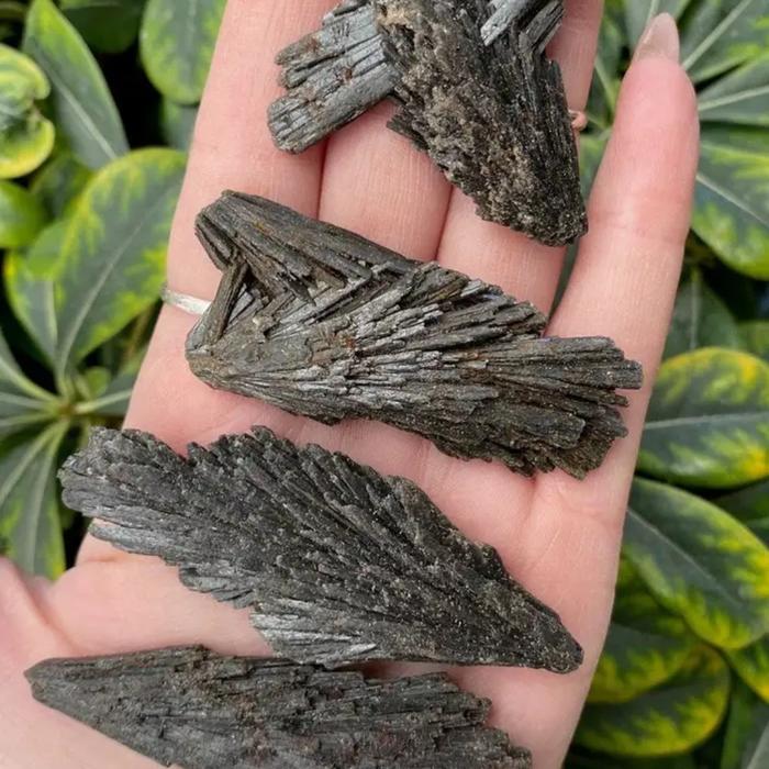 Black Kyanite Rough Crystal Natural Stone
