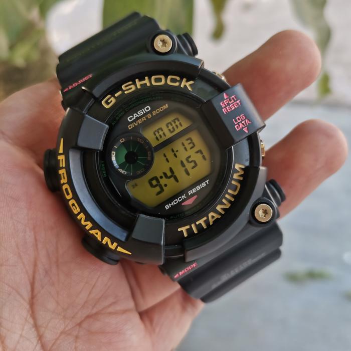 gshock dw8201Nt frogman
