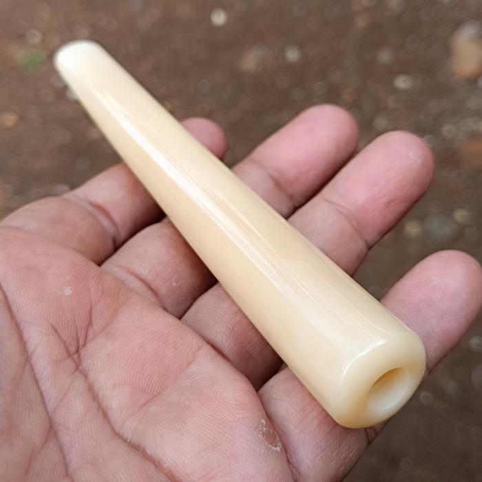 pipa once iga duyung asli