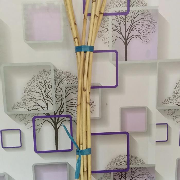 Tali Rotan -Stik Rotan Kulit Grade Ab Panjang 2meter 12mm Bulat