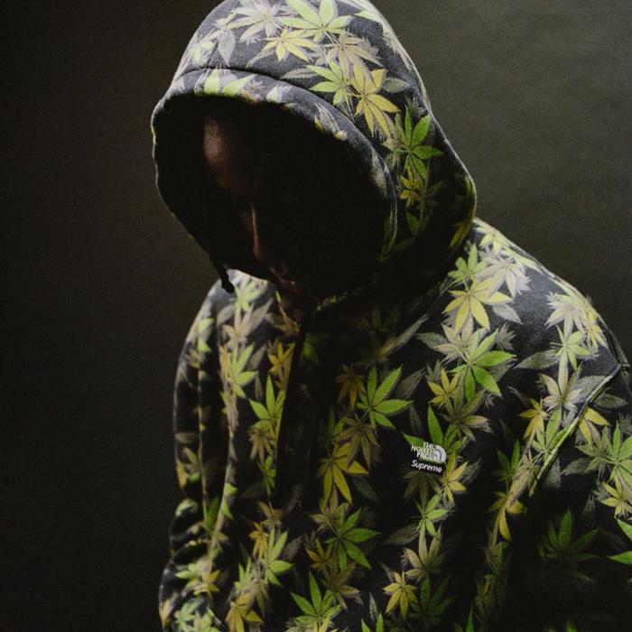 Supreme x The North Face TNF FW23 Leaf Hoodie