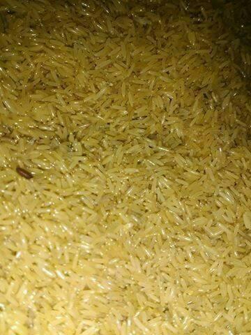TELUR JANGKRIK KALUNG SUPER 1kg