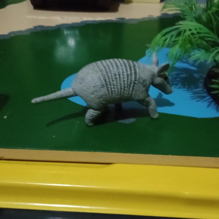 Safari Ltd - Armadillo